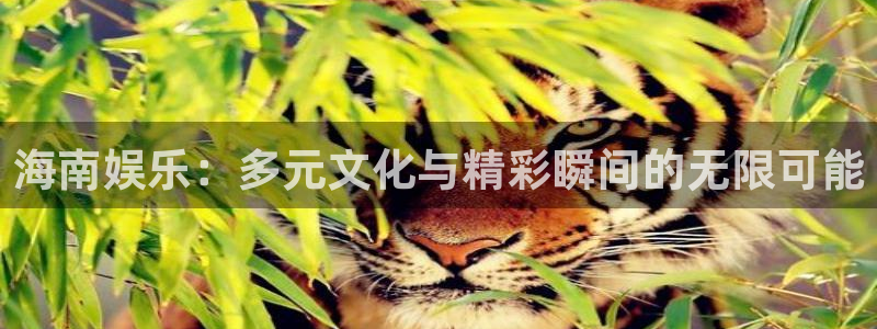 AB娱乐